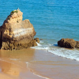 Aeroporto Lisboa → Lagoa